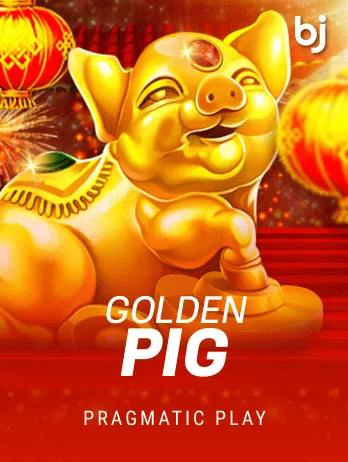 Golden Pig