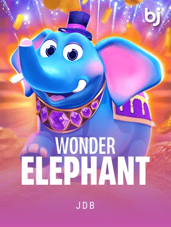 Wonder Elephant